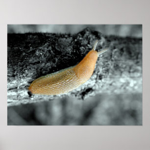 Póster Una situación pegajosa