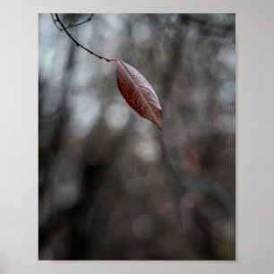 Póster Una sola hoja de otoño borgoña en una rama delgada