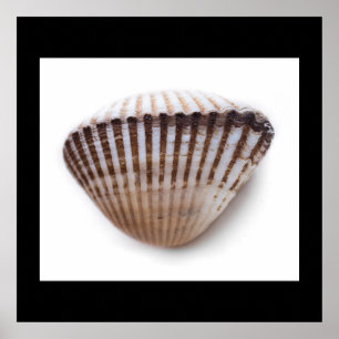 Póster Una sola línea de mar