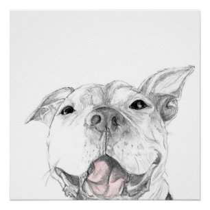 Póster Una sonrisa de Pit Bull