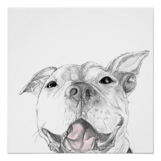Póster Una sonrisa de Pit Bull (Anverso)
