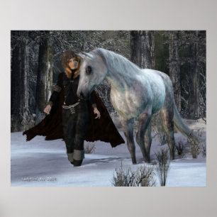 Póster Una tarde Nevado