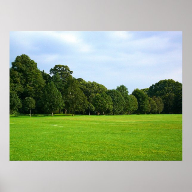 Póster Una tarde tranquila en el parque (Frente)