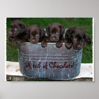 Póster Una tina de chocolate