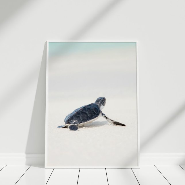 Póster Una tortuga marina en la playa (Cute Baby Sea Turtle on the Beach Poster in white frame on white floor.)