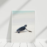 Póster Una tortuga marina en la playa<br><div class="desc">Esta bonita tortuga marina en el Poster de la playa es ideal para decorar una casa costera.</div>