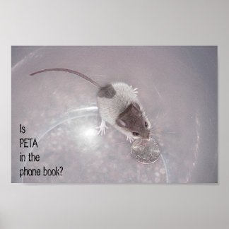 Póster Una última llamada