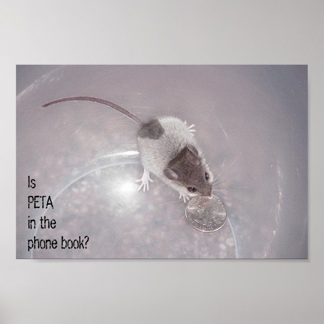 Póster Una última llamada (Frente)