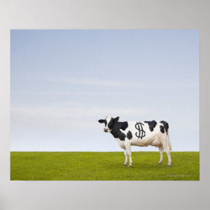 Póster Una vaca lechera de Holstein con los puntos en la