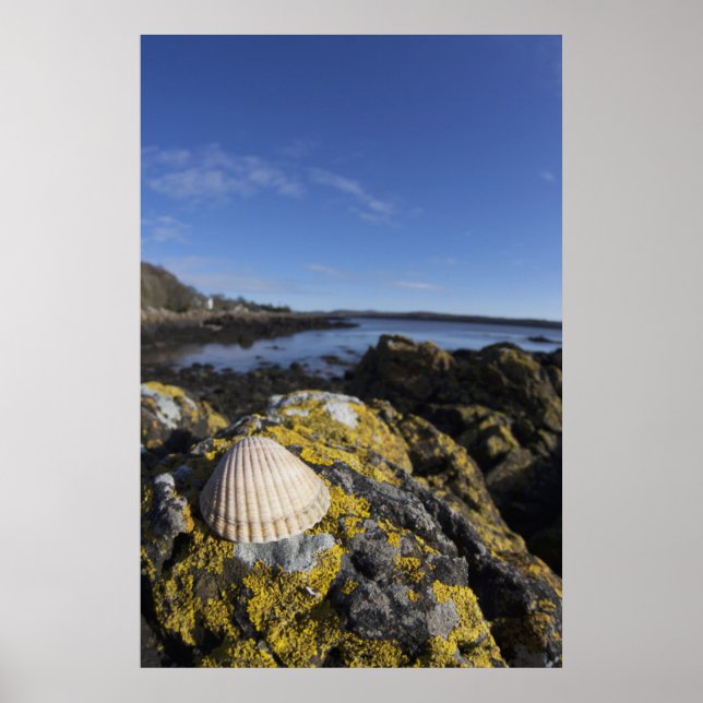 Póster Una Vela Se Siente En Una Roca | Dumfries, Escocia (Frente)