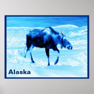 Póster Una Vez En Un Moose Azul