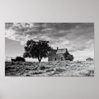 Póster Una vez la belleza