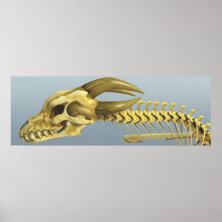 Póster Una Vez un dragón