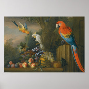Póster Una vida quieta con fruta, loros y un coco