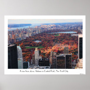 Póster Una visión desde arriba: Otoño en el Central Park