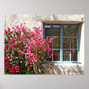 Póster Una visión perfecta