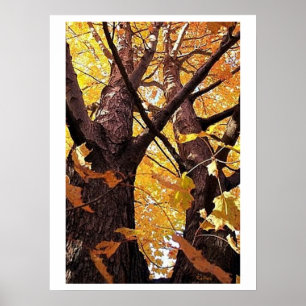 Póster Una vista de recorrido de árbol