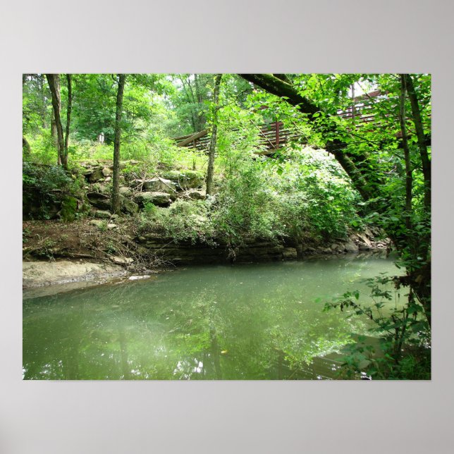 Póster Una vista del río (Frente)