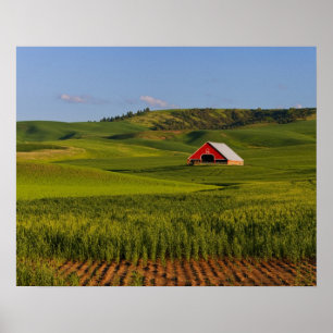 Póster Una vista panorámica de un granero en Moscú Idaho.