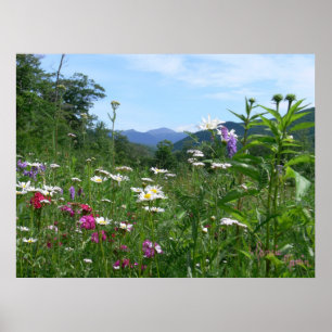 Póster Unas vistas magníficas a las flores