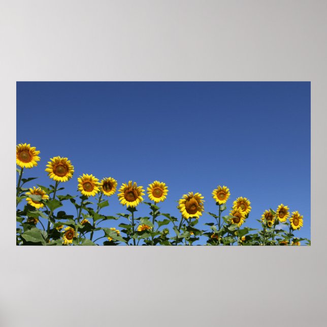 Póster Únete a la familia (Frente)