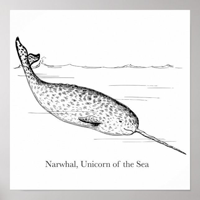 Póster Unicornio de ballena ballena del mar (Frente)