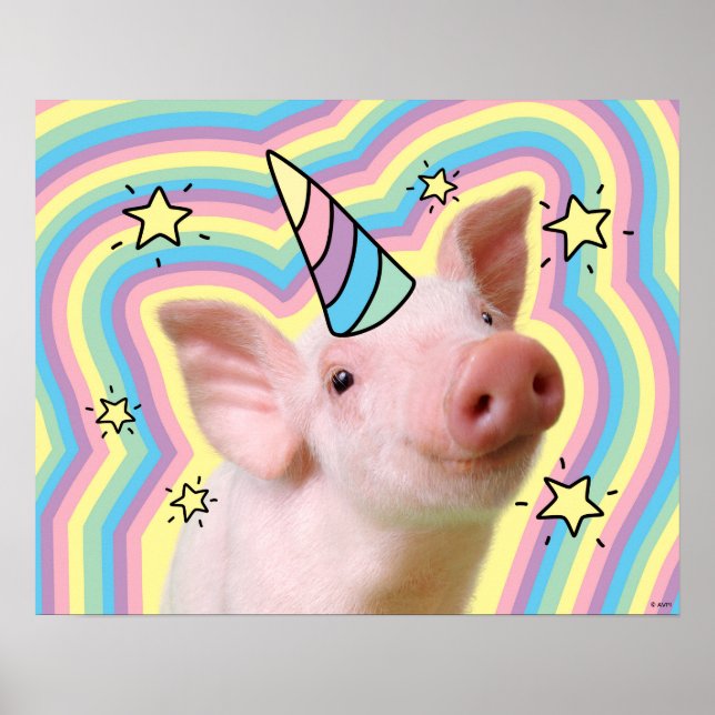 Póster Unicornio de lechón mágico (Frente)