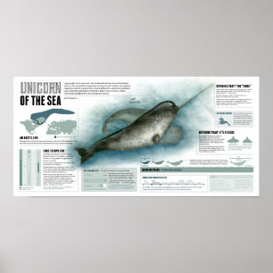 Póster Unicornio del mar