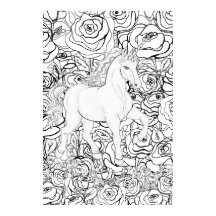 Unicornio Invisible