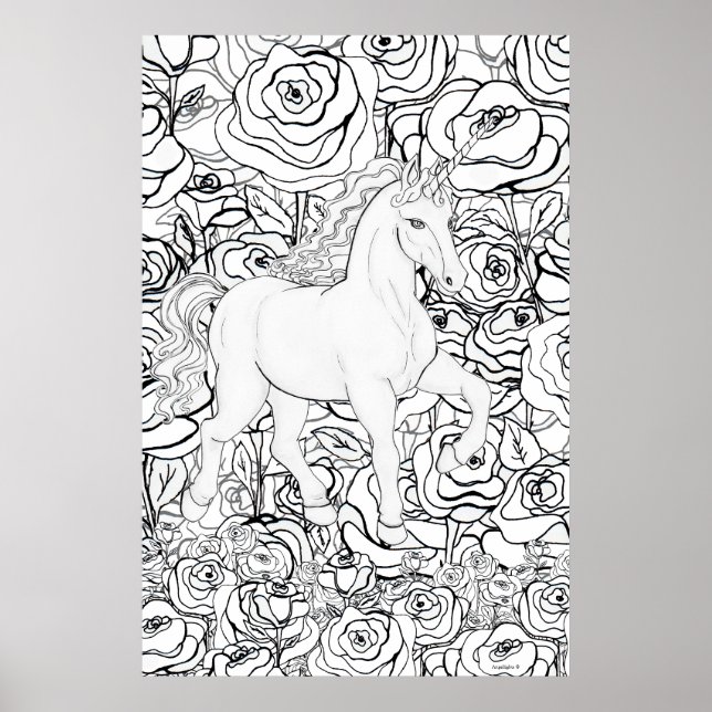 Póster Unicornio Invisible (Frente)