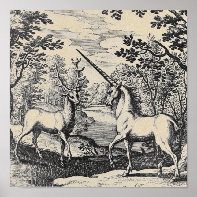 Póster Unicornio mítico en el bosque (Frente)