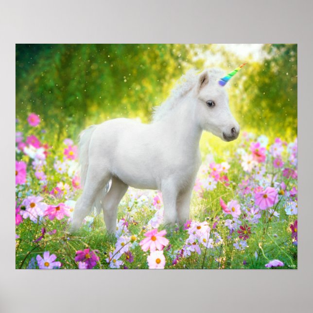Póster Unicornio Poni Blanco (Frente)