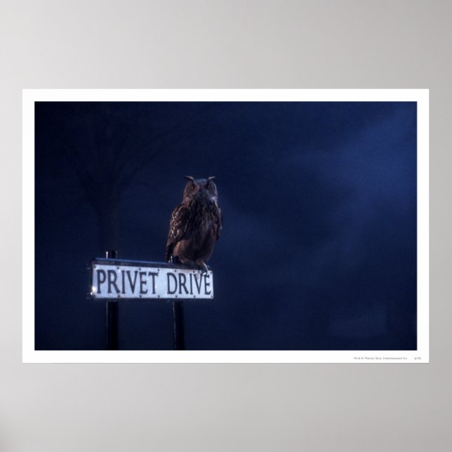 Póster Unidad privada (Frente)