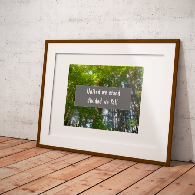 Póster Unidos estamos divididos, caemos poster del prover (Subido por el creador)