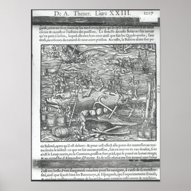 Póster Uniéndose a una ballena (Frente)