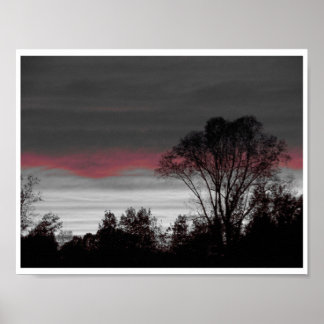 Póster Unique Sunset