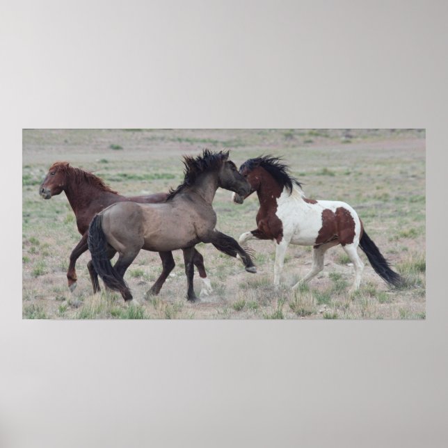 Póster Unirse (Frente)