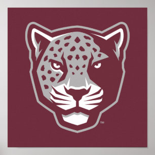 Póster Universidad A&M de Texas-San Antonio   Jaguares