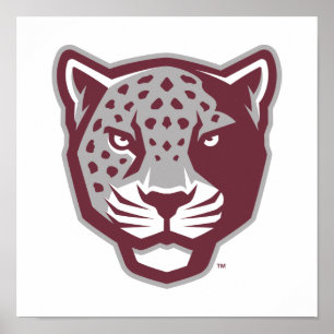 Póster Universidad A&M de Texas-San Antonio Jaguares