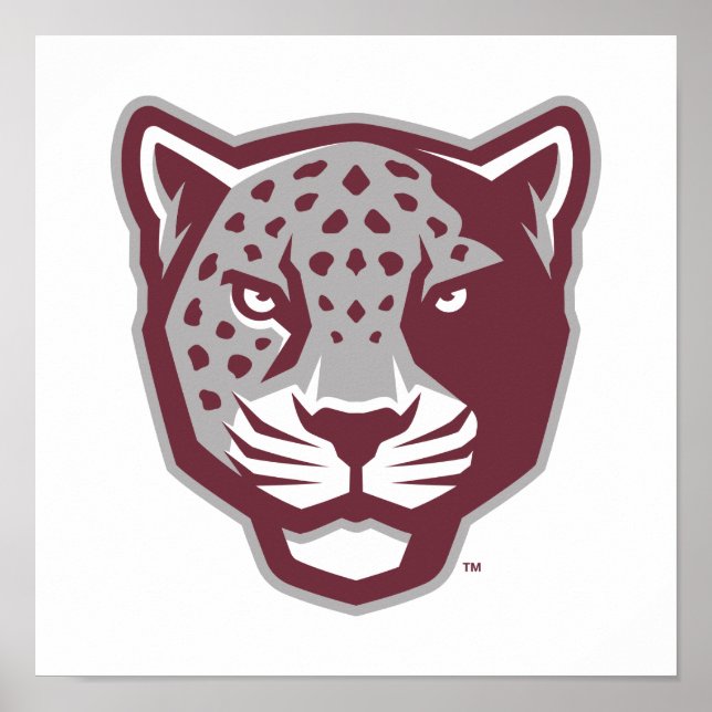Póster Universidad A&M de Texas-San Antonio | Jaguares (Frente)