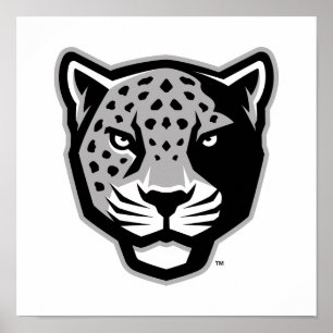 Póster Universidad A&M de Texas-San Antonio   Jaguares