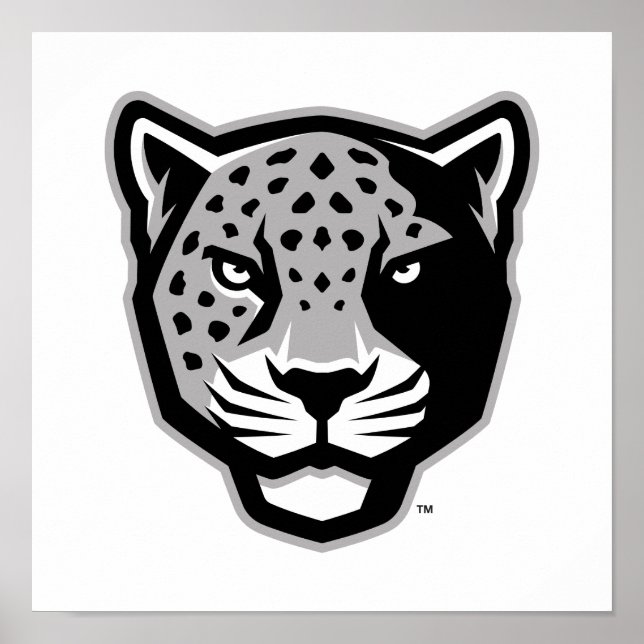 Póster Universidad A&M de Texas-San Antonio | Jaguares (Frente)