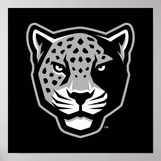 Póster Universidad A&M de Texas-San Antonio | Jaguares (Frente)