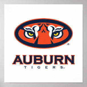 Póster Universidad Auburn   Tigres de Burro