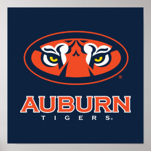 Póster Universidad Auburn   Tigres de Burro