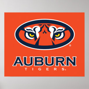 Póster Universidad Auburn   Tigres de Burro