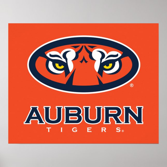Póster Universidad Auburn | Tigres de Burro (Frente)