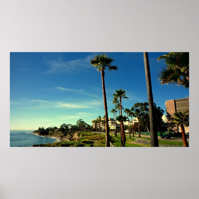 Póster Universidad de California en Santa Barbara (Frente)