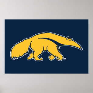 Póster Universidad de California, Irvine Anteater