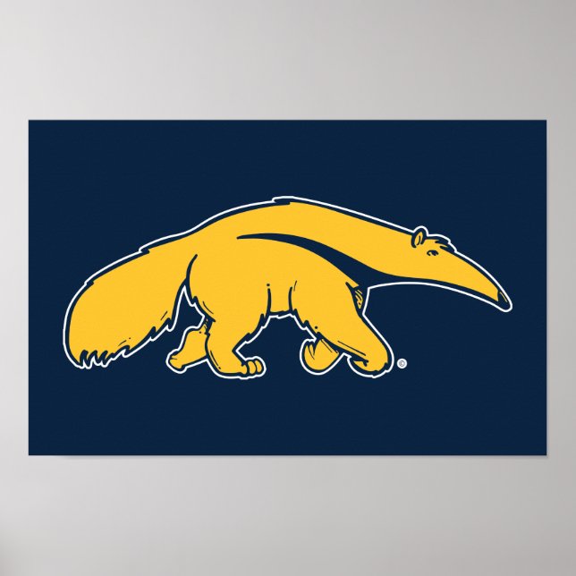 Póster Universidad de California, Irvine Anteater (Frente)